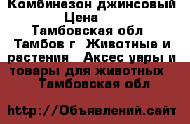 Комбинезон джинсовый S › Цена ­ 500 - Тамбовская обл., Тамбов г. Животные и растения » Аксесcуары и товары для животных   . Тамбовская обл.